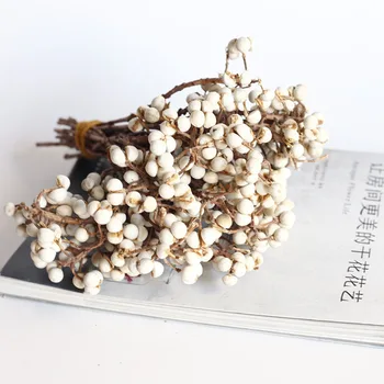 Букет натуральных белых фруктов, вечный сушеный цветок для оформления свадьбы, украшения дома, аксессуары для стола, сухие цветы